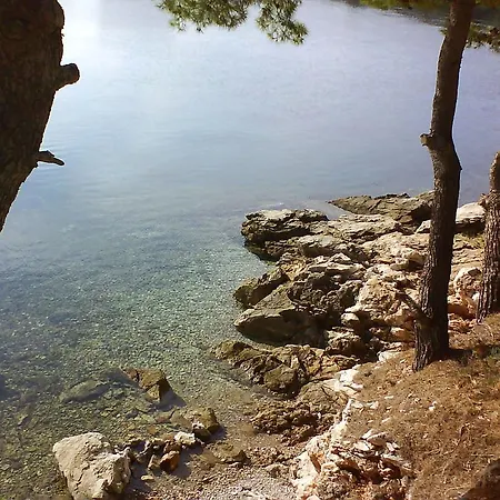 Apartman Maslincica * Veli Iž